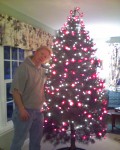 Leif Christmas Tree